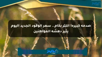 صدمة كبيرة! اللتر بكام.. سعر الوقود الجديد اليوم يثير دهشة المواطنين